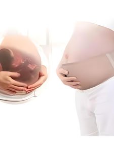 Maternity Binder